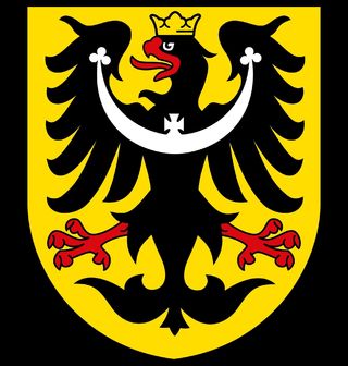 Obrázek 2 produktu Pánská mikina Slezská orlice