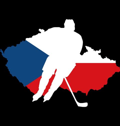 Obrázek produktu Pánská mikina Český Hokejista