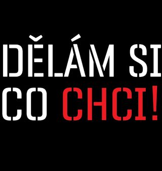 Obrázek 2 produktu Dětské tričko Dělám si co chci!