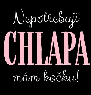 Obrázek 2 produktu Dámské tričko Nepotřebuji chlapa, mám kočku!