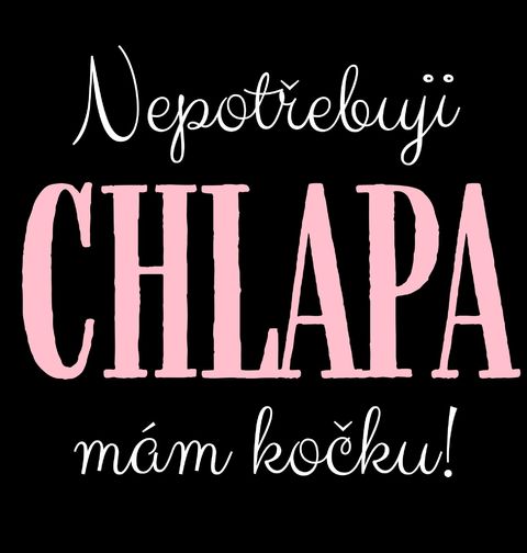 Obrázek produktu Dámské tričko Nepotřebuji chlapa, mám kočku!