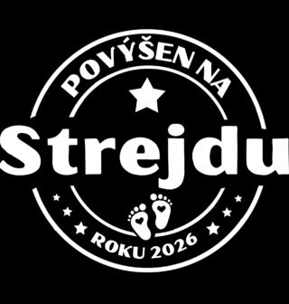 Obrázek 2 produktu Pánská mikina Povýšen na Strejdu roku 2026