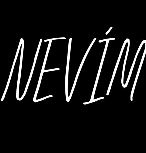 Obrázek produktu Dámské tričko Nevím