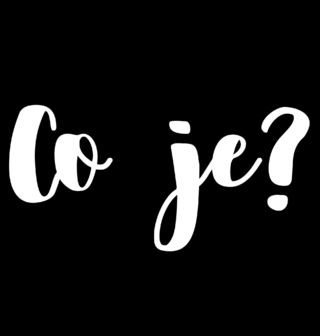 Obrázek 2 produktu Pánské tričko Co je?