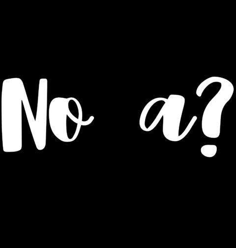 Obrázek produktu Pánská mikina No a?