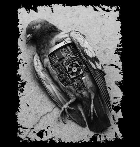 Obrázek produktu Pánské tričko Robotický Holub Birds Aren't Real