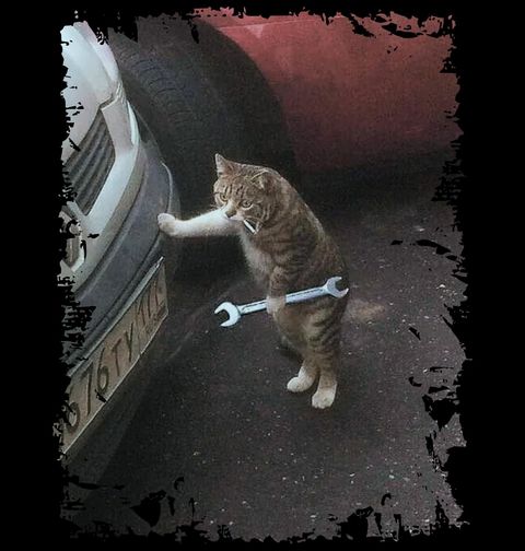 Obrázek produktu Pánské tričko Kočka Mechanik