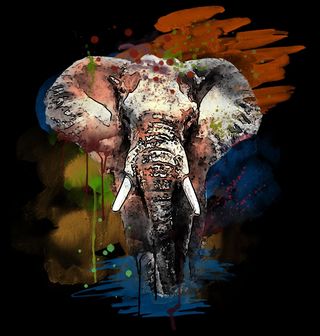 Obrázek 1 produktu Dětské tričko Barevný Slon africký