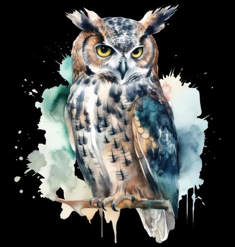 Obrázek produktu Pánská mikina Sova Výr Velký