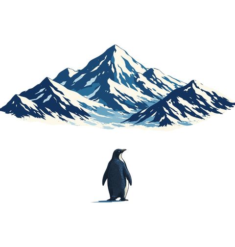 Obrázek produktu Dámské tričko Be the Damn Penguin But Why