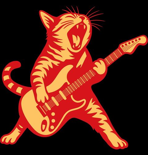 Obrázek produktu Pánské tričko Řvoucí Kočka Rock and Roll