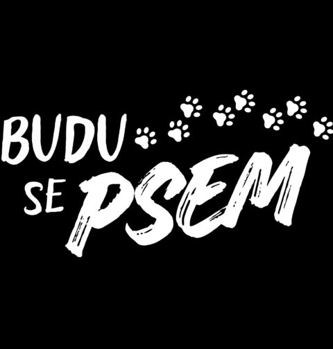 Obrázek produktu Pánská mikina Budu se Psem