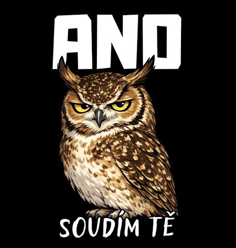 Obrázek produktu Pánská mikina Sova ANO Soudím tě