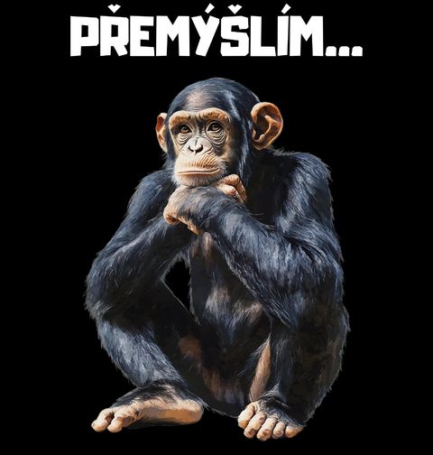 Obrázek produktu Pánská mikina Zamyšlený Šimpanz Přemýšlím…