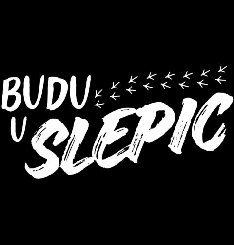 Obrázek produktu Pánské tričko Budu u Slepic
