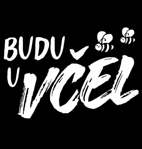 Obrázek produktu Dámské tričko Budu u Včel