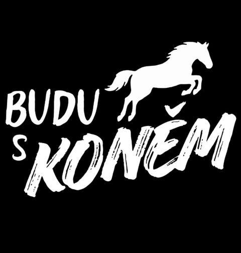 Obrázek produktu Dětské tričko Budu s Koněm