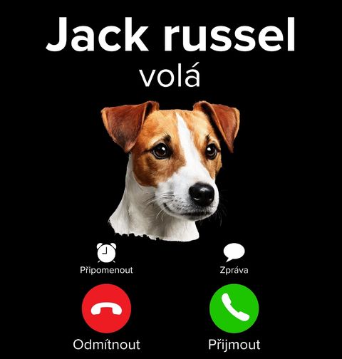 Obrázek produktu Dětské tričko Jack Russell teriér Phone Call