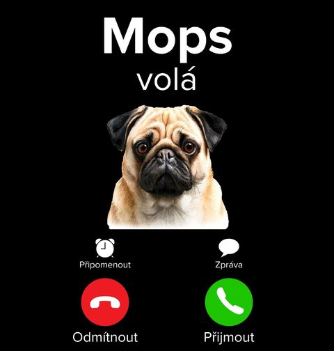 Obrázek produktu Pánské tričko Mops volá Phone Call