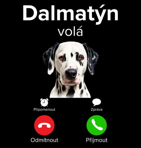 Obrázek produktu Pánské tričko Dalmatýn volá Phone Call