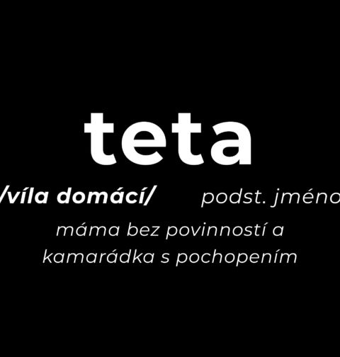 Obrázek produktu Dámské tričko Definice Teta: Víla domácí