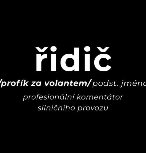 Obrázek produktu Pánská mikina Definice Řidič: Profík za volantem