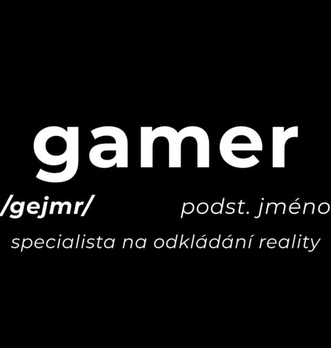 Obrázek produktu Pánská mikina Definice Gamer: Gejmr