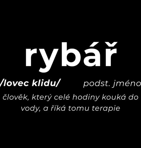 Obrázek produktu Dětské tričko Definice Rybář: Lovec klidu