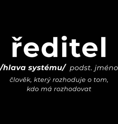 Obrázek produktu Pánské tričko Definice Ředitel: Hlava systému