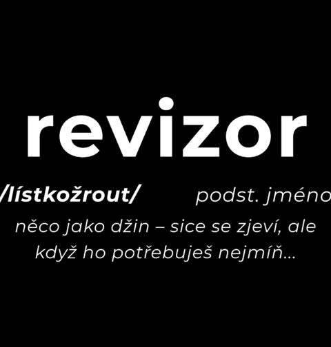 Obrázek produktu Pánské tričko Definice Revizor: Lístkožrout