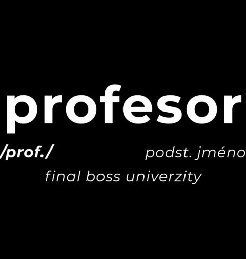 Obrázek produktu Pánské tričko Definice Profesor: Prof.