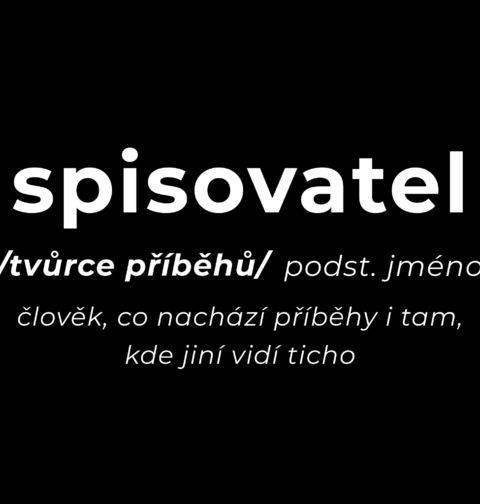 Obrázek produktu Pánská mikina Definice Spisovatel: Tvůrce příběhů