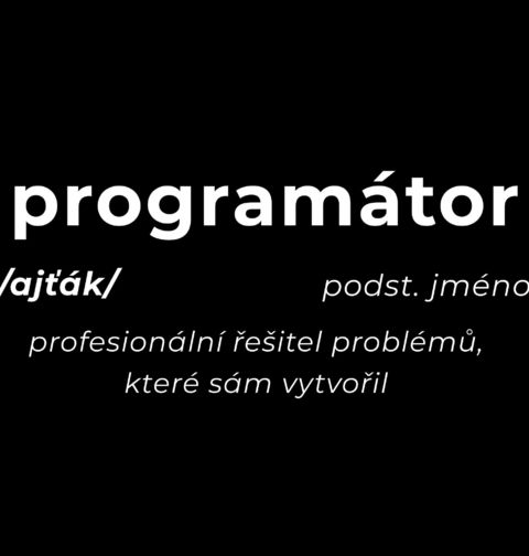 Obrázek produktu Pánské tričko Definice Programátor: Ajťák