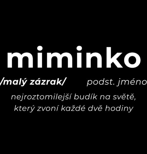 Obrázek produktu Dětské tričko Definice Miminko: Malý zázrak