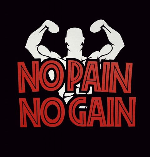 Obrázek produktu Pánské tričko No Pain No Gain Nic Není Zadarmo 