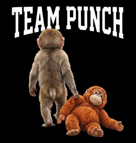 Obrázek produktu Dámské tričko Makak Punch s Plyšákem Team Punch