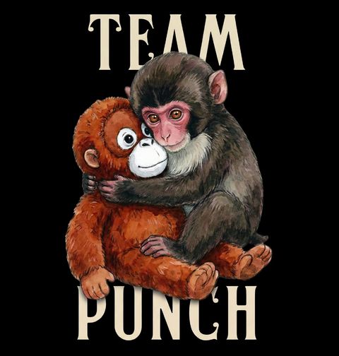 Obrázek produktu Pánská mikina Punch s Plyšovým Orangutanem Team Punch