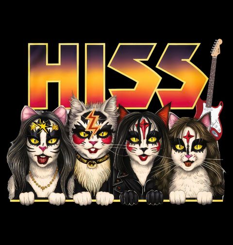 Obrázek produktu Dětské tričko Kočičí Rock HISS