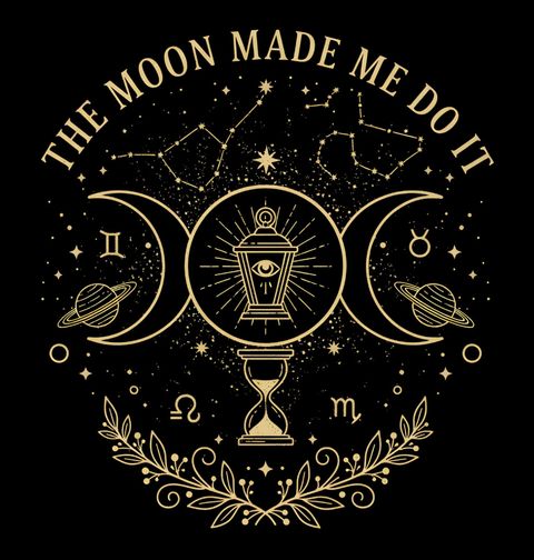Obrázek produktu Pánská mikina Měsíc mě k tomu donutil The Moon Made Me Do It