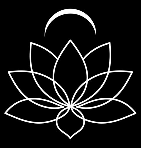 Obrázek produktu Pánské tričko Lotus pod Měsícem