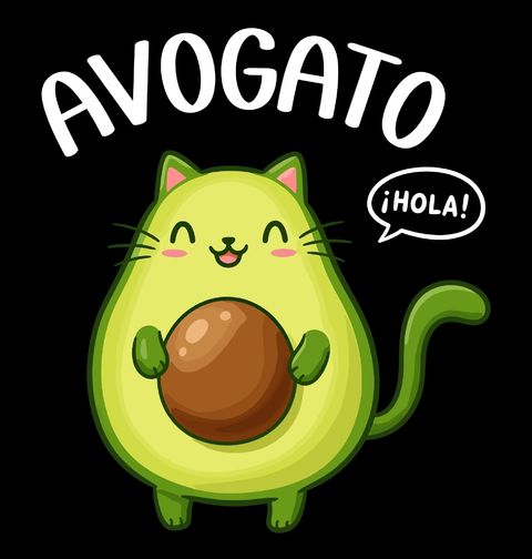 Obrázek produktu Dámské tričko Španělské Kočičí Avokádo Avogato