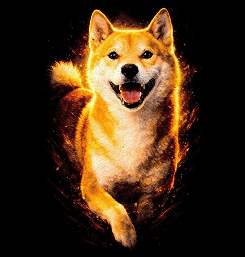 Obrázek produktu Dámské tričko Usměvavý Shiba-inu v Běhu