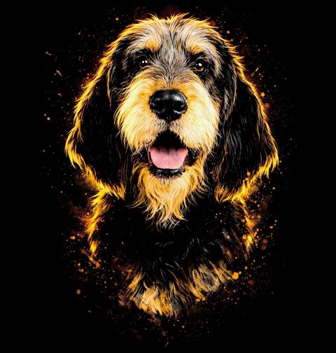 Obrázek produktu Dámské tričko Vydrař Otterhound