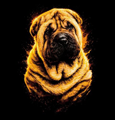 Obrázek produktu Dámské tričko Šarpej Shar Pei