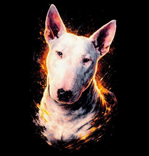 Obrázek produktu Pánská mikina Anglický bulteriér Bull Terrier