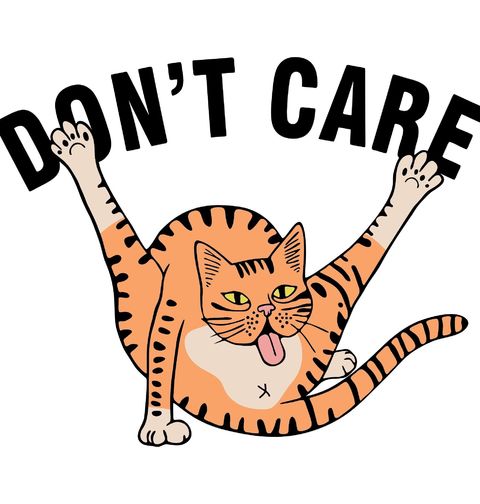 Obrázek produktu Pánské tričko Bezstarostná Kočka Don't Care