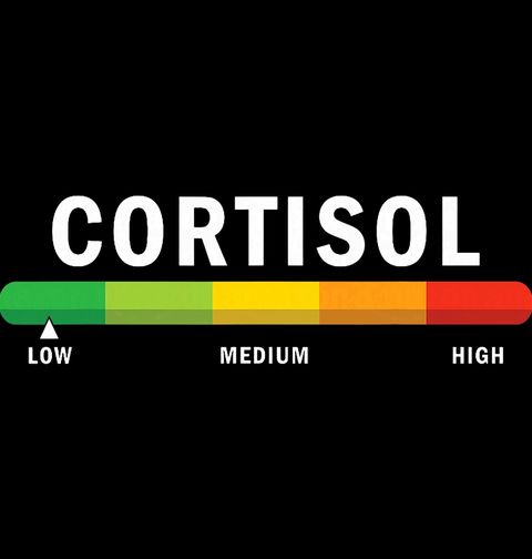 Obrázek produktu Pánské tričko Hladina Stresu Cortisol