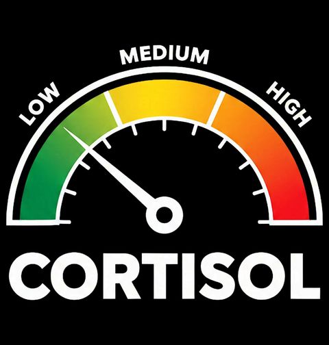 Obrázek produktu Pánské tričko Měřič Stresu Cortisol