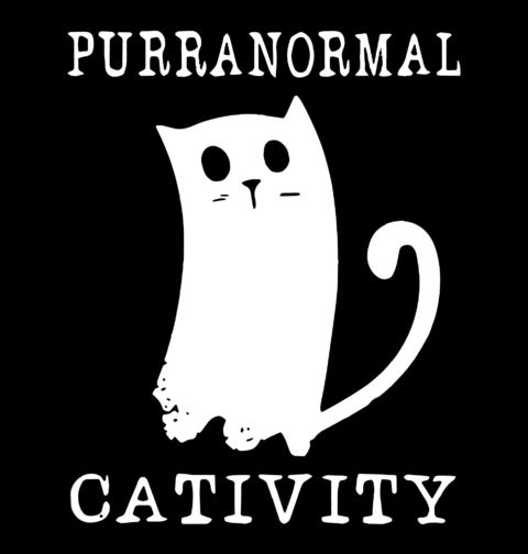 Obrázek produktu Pánské tričko Paranormální Kočka