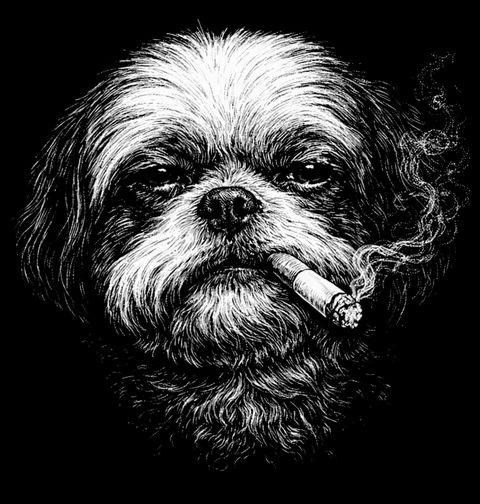 Obrázek produktu Dámské tričko Shih-tzu s Cigaretou